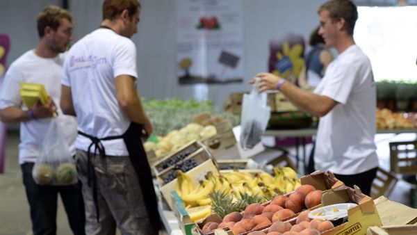 Fruits and French agricultural products. - Sputnik International