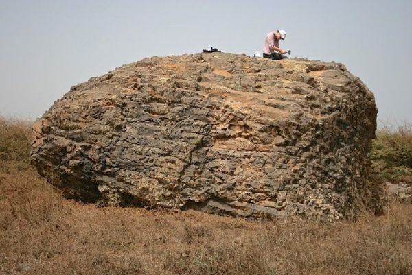 The rocks, weighing up to 770 tons, matched marine-type rocks The rocks, weighing up to 770 tons, matched marine-type rocks - Sputnik International