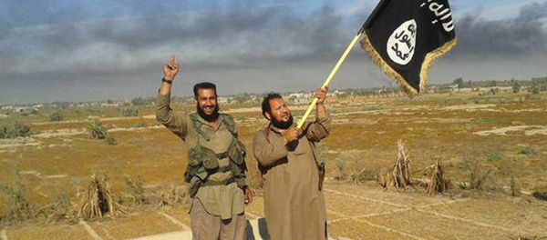 In this photo released on Sunday, June 28, 2015, by a website of Islamic State militants, an Islamic State militant waves his group's flag as he and another celebrate in Fallujah, Iraq, west of Baghdad - Sputnik International