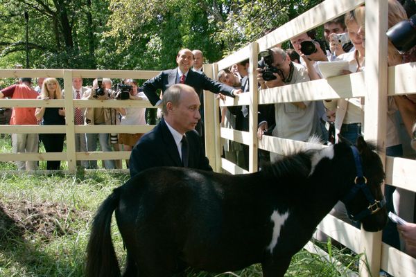 V.Putin, S.Berlusconi and the Russian president's minihorse V.Putin, S.Berlusconi and the Russian president's minihorse - Sputnik International