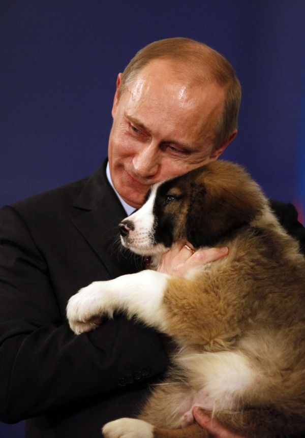 Russian Prime Minister Vladimir Putin cuddles a Bulgarian Karakachanka breed sheepdog puppy, a gift from his Bulgarian counterpart Boiko Borissov, right, after signing the agreements on the the South Stream gas transit pipeline, one of the two countries joint energy projects, Sofia Saturday, Nov 13, 2010 Russian Prime Minister Vladimir Putin cuddles a Bulgarian Karakachanka breed sheepdog puppy, a gift from his Bulgarian counterpart Boiko Borissov, right, after signing the agreements on the the South Stream gas transit pipeline, one of the two countries joint energy projects, Sofia Saturday, Nov 13, 2010 - Sputnik International