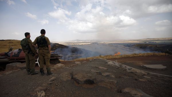 Israeli soldiers watch the flames on a mountain side in the El-Rom settlement in the Israeli-annexed Golan Heights on June 28, 2015 Israeli soldiers watch the flames on a mountain side in the El-Rom settlement in the Israeli-annexed Golan Heights on June 28, 2015 - Sputnik International