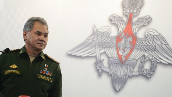 Russian Minister of Defence Sergey Shoygu Russian Minister of Defence Sergey Shoygu - Sputnik International