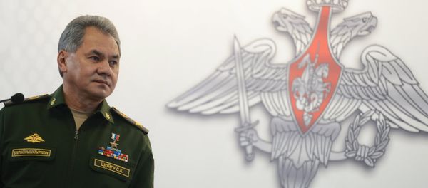 Russian Minister of Defence Sergey Shoygu Russian Minister of Defence Sergey Shoygu - Sputnik International