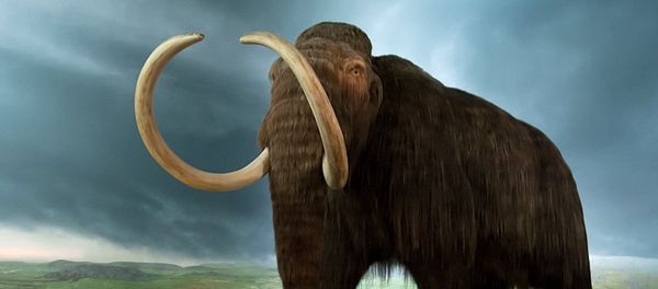 Mammoth - Sputnik International