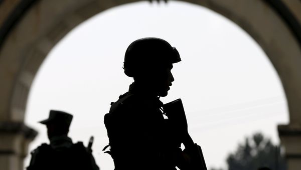A file photo of Afghan security forces - Sputnik International