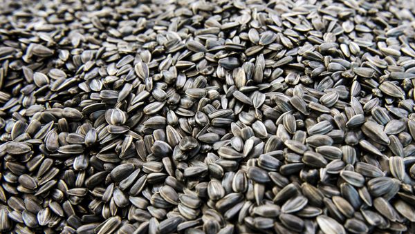 WorldFood Expo in Moscow - Sputnik International