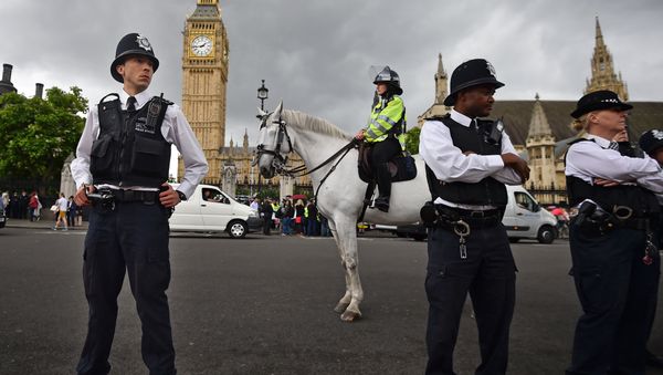 Police stand ready as protesters gather in Parliament Square in central London, on July 8, 2015 Police stand ready as protesters gather in Parliament Square in central London, on July 8, 2015 - Sputnik International