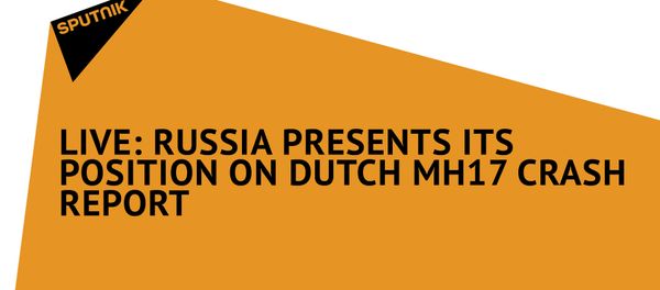 Russia Presents Its Position on Dutch MH17 Crash Report Russia Presents Its Position on Dutch MH17 Crash Report - Sputnik International
