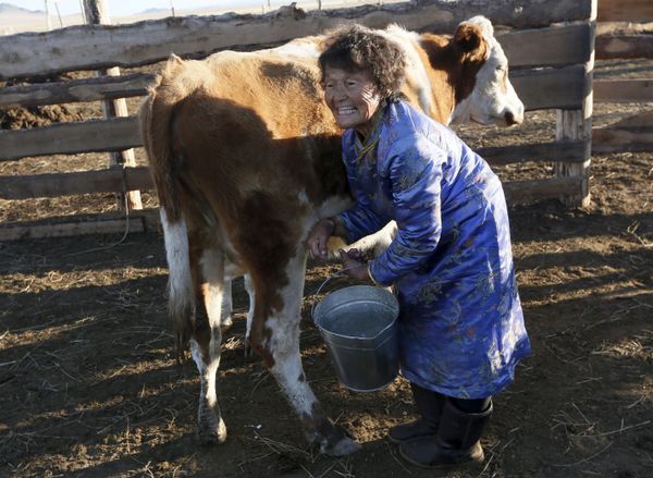 Tuva: A Land of Wonders in Russia's Southern Siberia Tuva: A Land of Wonders in Russia's Southern Siberia - Sputnik International
