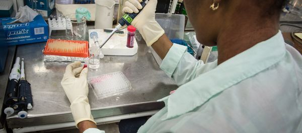 A lab technician works at the Center for Genetic Engineering and Biotechnology in Camaguey, Cuba on June 19, 2015 - Sputnik International