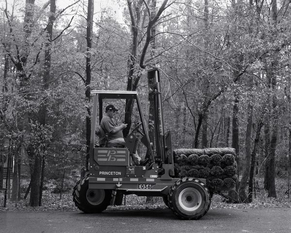 Chris: Grass Business Chris: Grass Business - Sputnik International
