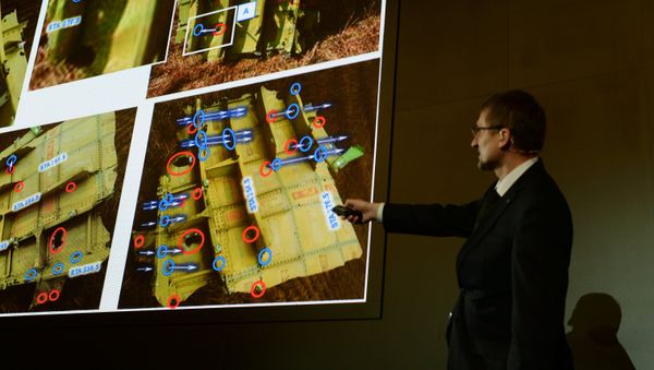 Presenting the results of the Boeing 777 crash simulation - Sputnik International