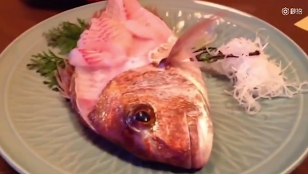 Terrifying Footage Shows Sashimi Fish JUMPS from dinner plate, Japanese Family Eat (Raw) - Sputnik International