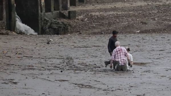 Hero of the Thailand allows foreign lovers out of the mud sucking at Krabi - Sputnik International