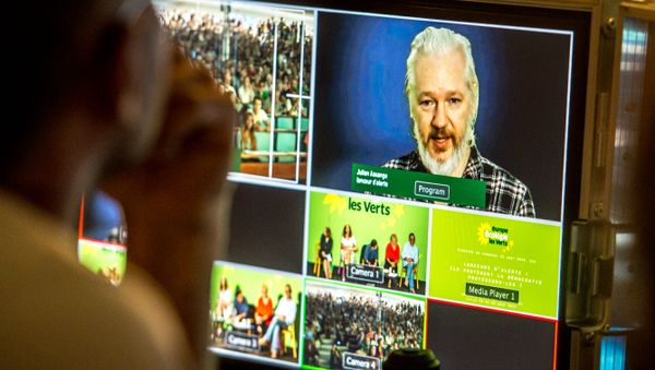 WikiLeaks founder Julian Assange participates by videoconference in the French Green party EELV summer camp, on August 21, 2015 in Villeneuve-d'Asq. WikiLeaks founder Julian Assange participates by videoconference in the French Green party EELV summer camp, on August 21, 2015 in Villeneuve-d'Asq. - Sputnik International