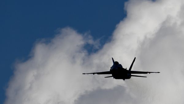 An F/A-18 Hornet fighter jet of the Swiss Air Force - Sputnik International