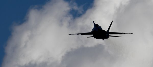 An F/A-18 Hornet fighter jet of the Swiss Air Force - Sputnik International