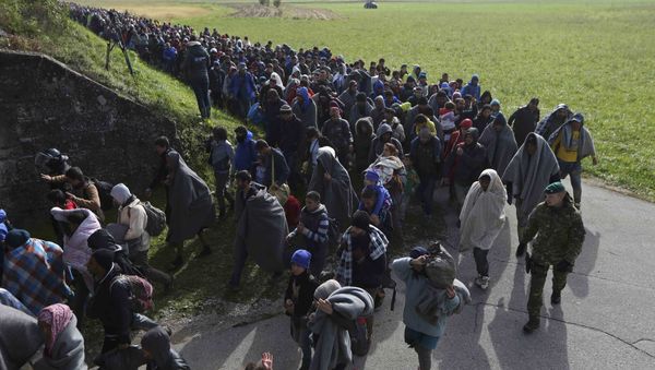 A group of migrants continue their journey near Dobova, Slovenia October 20, 2015 A group of migrants continue their journey near Dobova, Slovenia October 20, 2015 - Sputnik International
