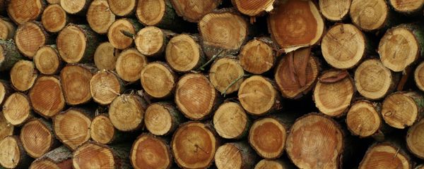 Roadside Timber Stack - Sputnik International