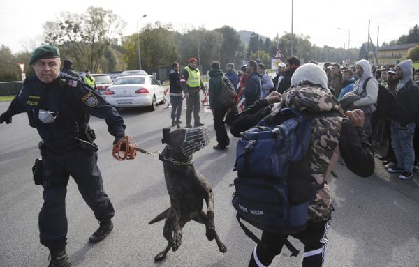 An Austrian policeman with a dog tries to maintain order after migrants left a camp on the border with Slovenia in Spielfeld, Austria, Thursday, Oct. 22, 2015 An Austrian policeman with a dog tries to maintain order after migrants left a camp on the border with Slovenia in Spielfeld, Austria, Thursday, Oct. 22, 2015 - Sputnik International