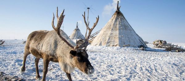 Yamal Yamal - Sputnik International