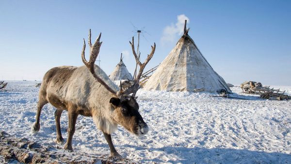 Yamal - Sputnik International