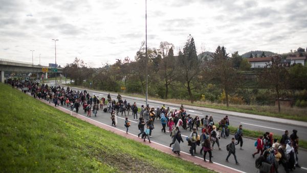 Refugees and migrants walk on a road as they leave Sentilj, Slovenia, on their way to cross the Slovenian-Austrian border on October 23, 2015 Refugees and migrants walk on a road as they leave Sentilj, Slovenia, on their way to cross the Slovenian-Austrian border on October 23, 2015 - Sputnik International