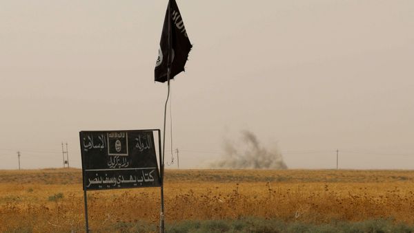 Islamic State (IS) group flag and banner Islamic State (IS) group flag and banner - Sputnik International