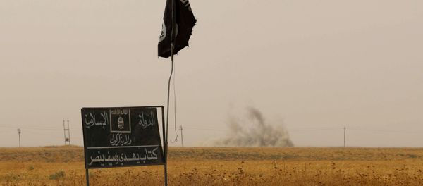 Islamic State (IS) group flag and banner Islamic State (IS) group flag and banner - Sputnik International