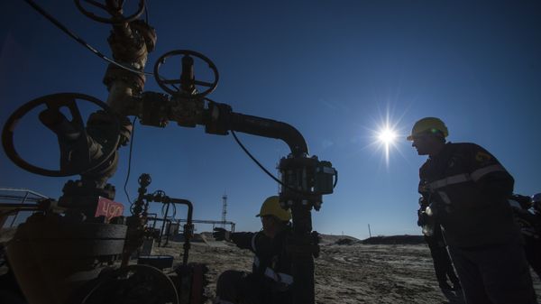 RN-Purneftegaz Company in Yamal-Nenets Autonomous District - Sputnik International
