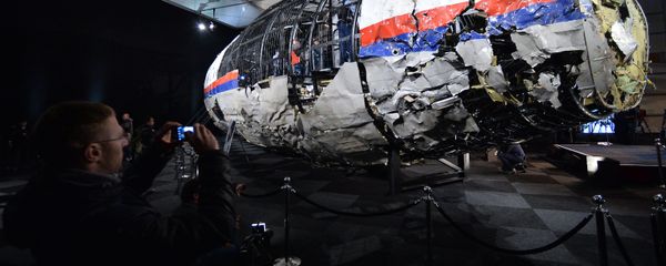 Dutch Safety Board releases report on Malaysia Airlines Flight MH17 crash Dutch Safety Board releases report on Malaysia Airlines Flight MH17 crash - Sputnik International