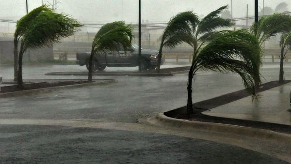 View of a street in Manzanillo, Colima state, Mexico on October 23, 2015, during hurricane Patricia - Sputnik International