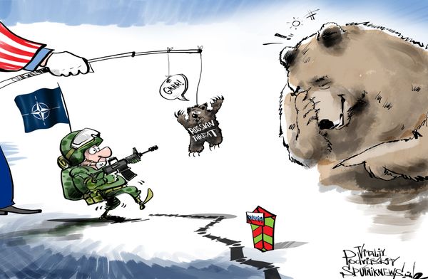 Bear in Mind Bear in Mind - Sputnik International