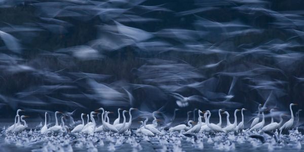 The Wonders of Panoramic Photography: Epson International Pano Awards 2015 The Wonders of Panoramic Photography: Epson International Pano Awards 2015 - Sputnik International