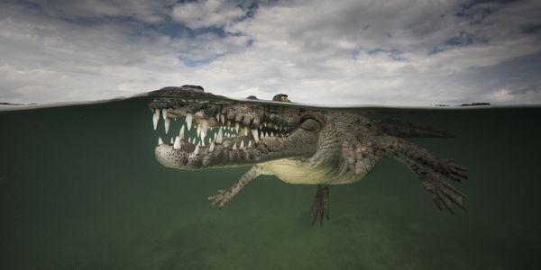 The Wonders of Panoramic Photography: Epson International Pano Awards 2015 The Wonders of Panoramic Photography: Epson International Pano Awards 2015 - Sputnik International