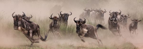 The Wonders of Panoramic Photography: Epson International Pano Awards 2015 The Wonders of Panoramic Photography: Epson International Pano Awards 2015 - Sputnik International