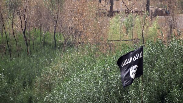 May 29, 2015, a black flag used by the Islamic State group extremists flutters over their combat positions on the front line with Iraqi security forces and allied Shiite militiamen and Sunni tribal fighters on the outside of Ramadi, the capital of Iraq's Anbar province, 70 miles (115 kilometers) west of Baghdad, Iraq May 29, 2015, a black flag used by the Islamic State group extremists flutters over their combat positions on the front line with Iraqi security forces and allied Shiite militiamen and Sunni tribal fighters on the outside of Ramadi, the capital of Iraq's Anbar province, 70 miles (115 kilometers) west of Baghdad, Iraq - Sputnik International
