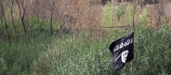 May 29, 2015, a black flag used by the Islamic State group extremists flutters over their combat positions on the front line with Iraqi security forces and allied Shiite militiamen and Sunni tribal fighters on the outside of Ramadi, the capital of Iraq's Anbar province, 70 miles (115 kilometers) west of Baghdad, Iraq - Sputnik International
