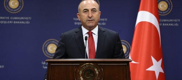Turkish Former Foreign Minister Mevlut Cavusoglu Turkish Former Foreign Minister Mevlut Cavusoglu - Sputnik International