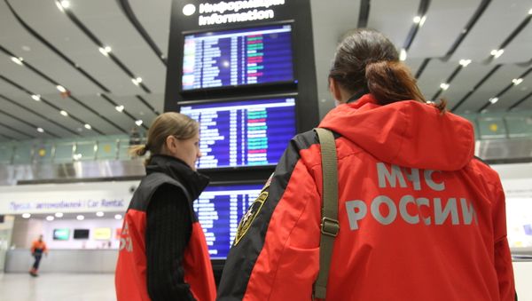 Russian plane crashes in the Sinai Peninsula - Sputnik International