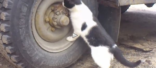 Tom and Jerry - Russian edition - Sputnik International