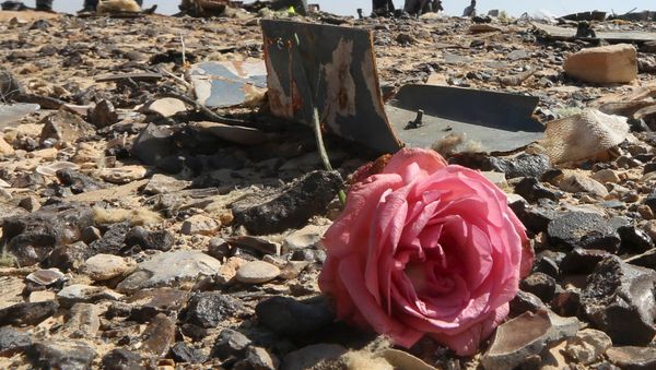A flower is seen near debris at the crash site of a Russian airliner in al-Hasanah area in El Arish city, north Egypt, November 1, 2015. - Sputnik International