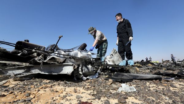 Следователи на месте крушения самолета на Синайском полуострове - Sputnik International