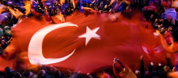 Supporters of Turkey's Justice and Development Party (AKP) wave a giant Turkish flag as they celebrate in Istanbul after the first results in the country's general election on November 1, 2015. - Sputnik International