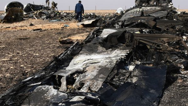 Airbus A321 crash site in Egypt - Sputnik International
