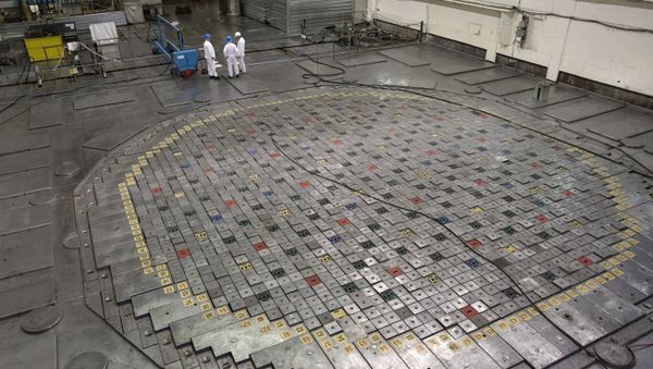 The reactor of the Leningrad nuclear power plant in Sosnovy Bor - Sputnik International