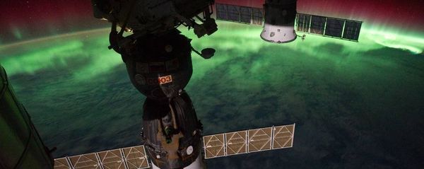 Aurora Australis Over New Zealand, Tasman Sea (NASA, International Space Station, 09/17/11) Aurora Australis Over New Zealand, Tasman Sea (NASA, International Space Station, 09/17/11) - Sputnik International