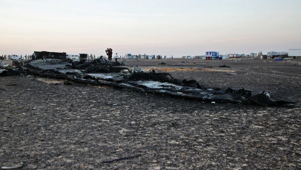 Search operations at Airbus A321 crash site in Egypt Search operations at Airbus A321 crash site in Egypt - Sputnik International