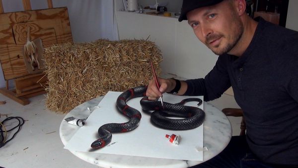 3D Art: When Drawings Come to Life 3D Art: When Drawings Come to Life - Sputnik International